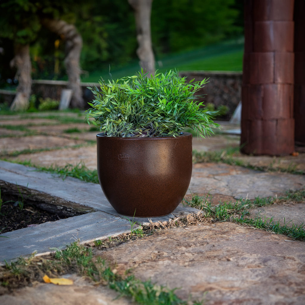 Azalea Indoor/Outdoor Planter