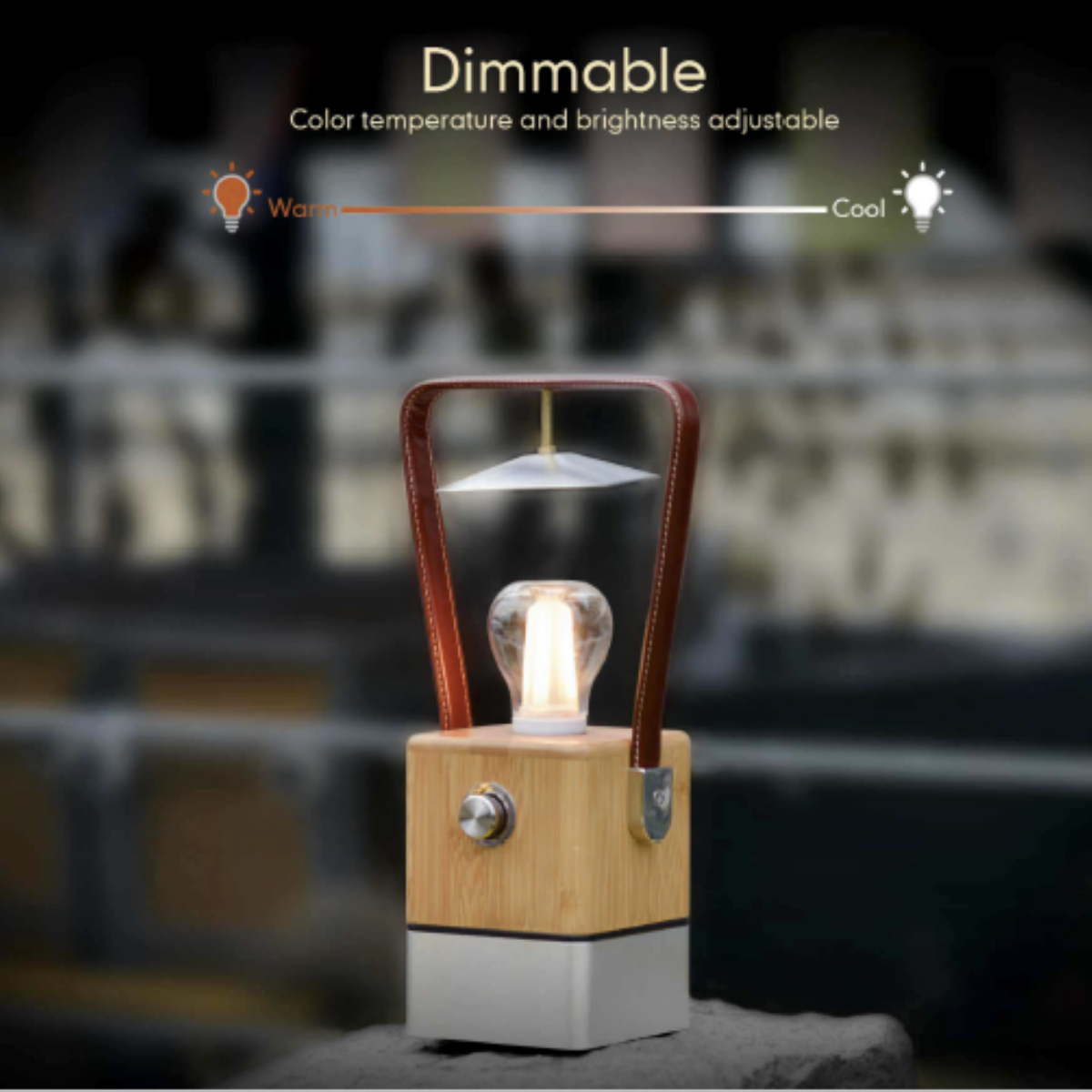 Vienna Dimmable LED Lamp & Power Bank