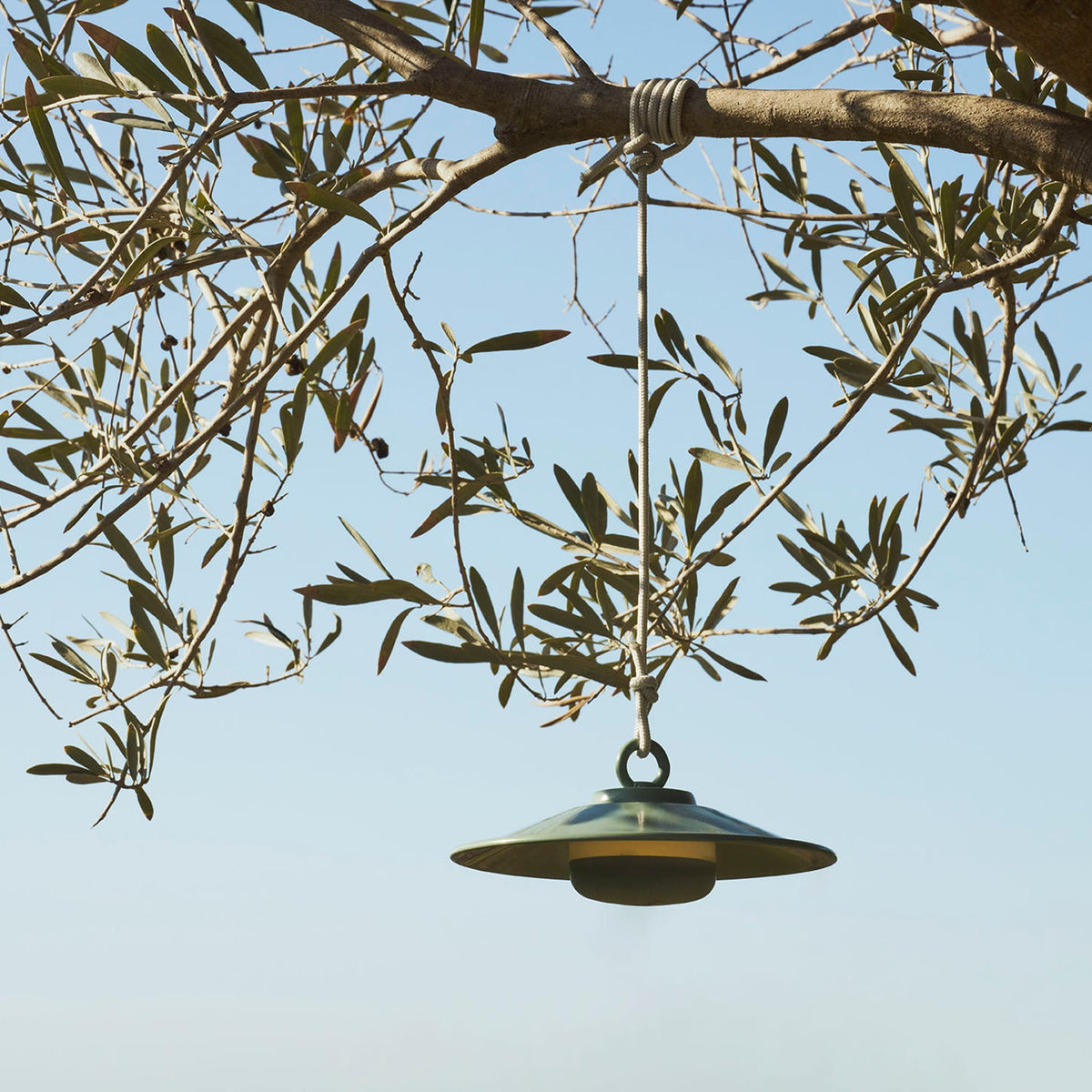 Chap-O Cordless Pendant Lamp