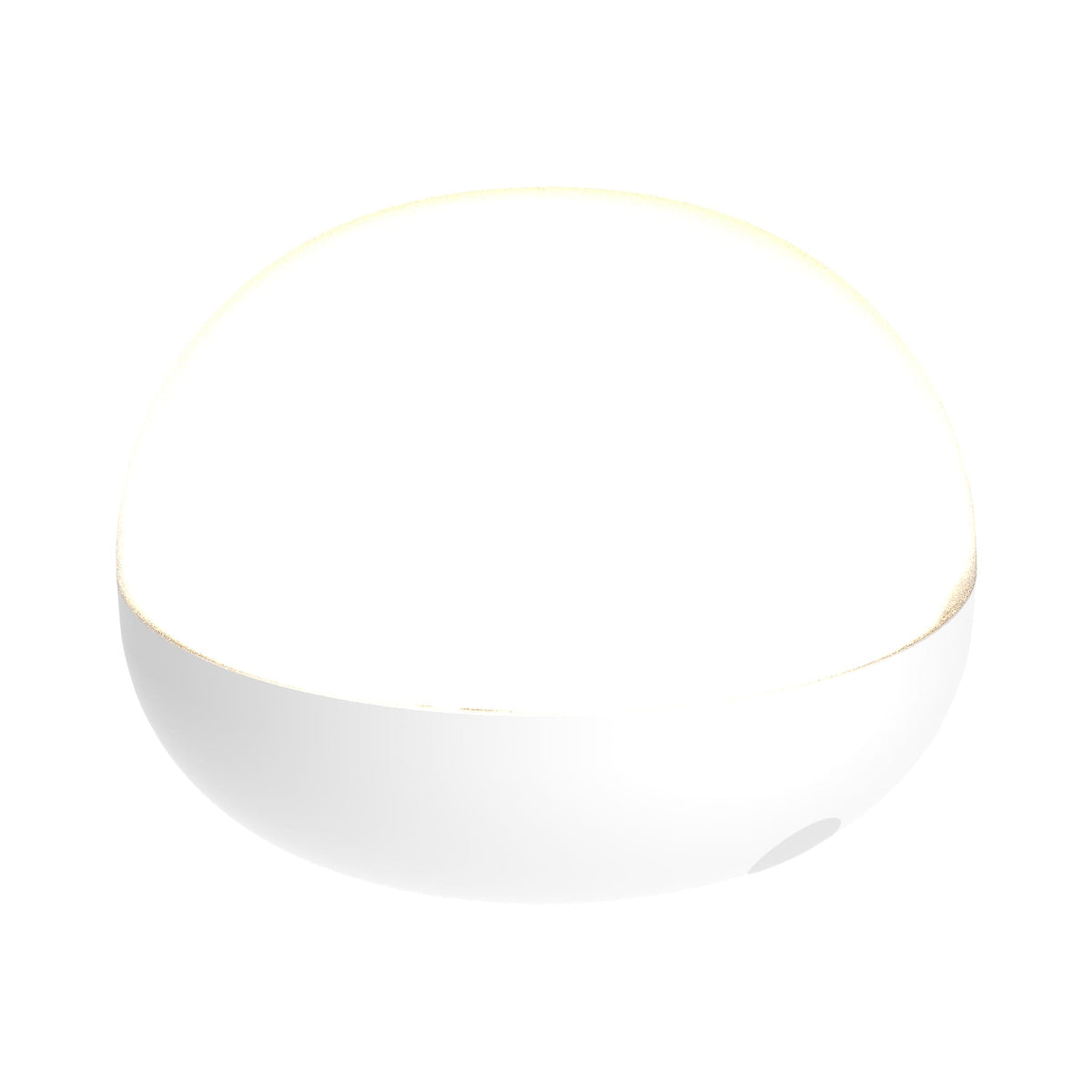Coco Portable LED Light