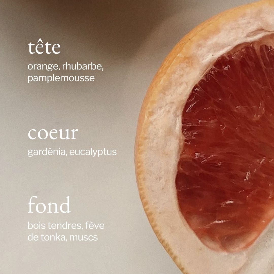 Diffuseur à roseaux | Eucalyptus + Pamplemousse