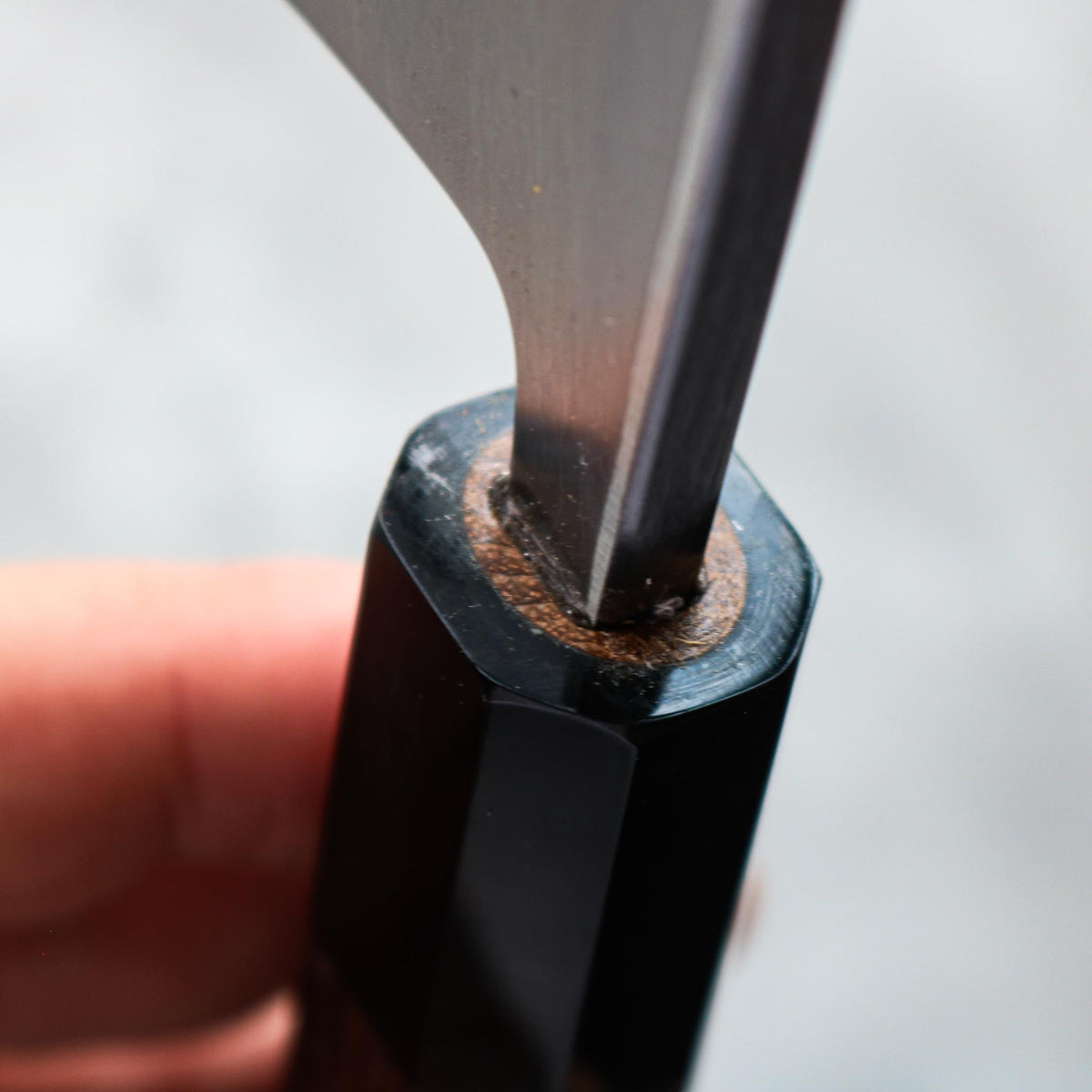 Hatsukokoro Shirasagi Deba — 165mm
