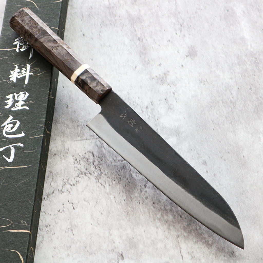 Hatsukokoro Aokitae Gyuto — 210mm