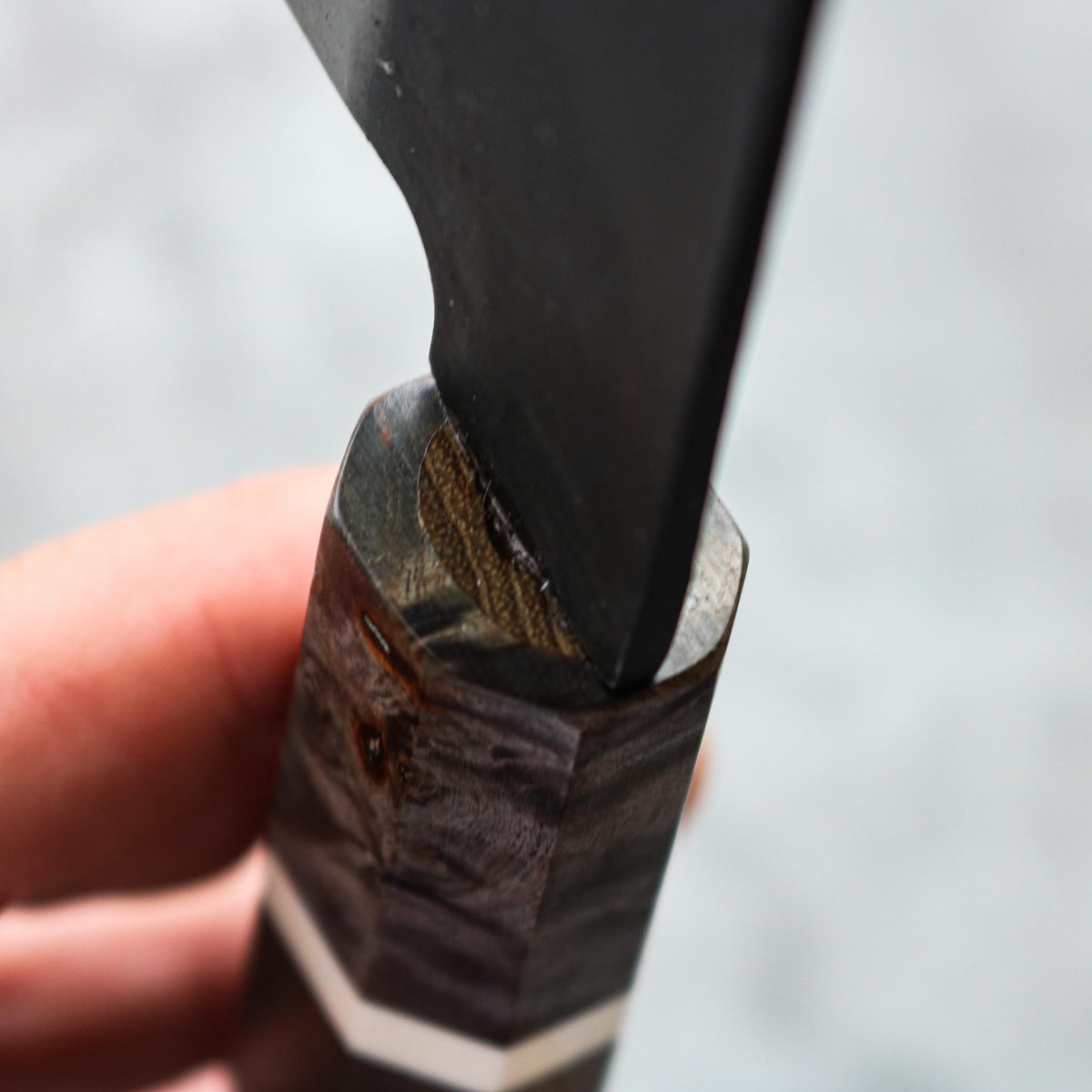 Hatsukokoro Aokitae Gyuto — 210mm