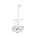 Jolly Trolley