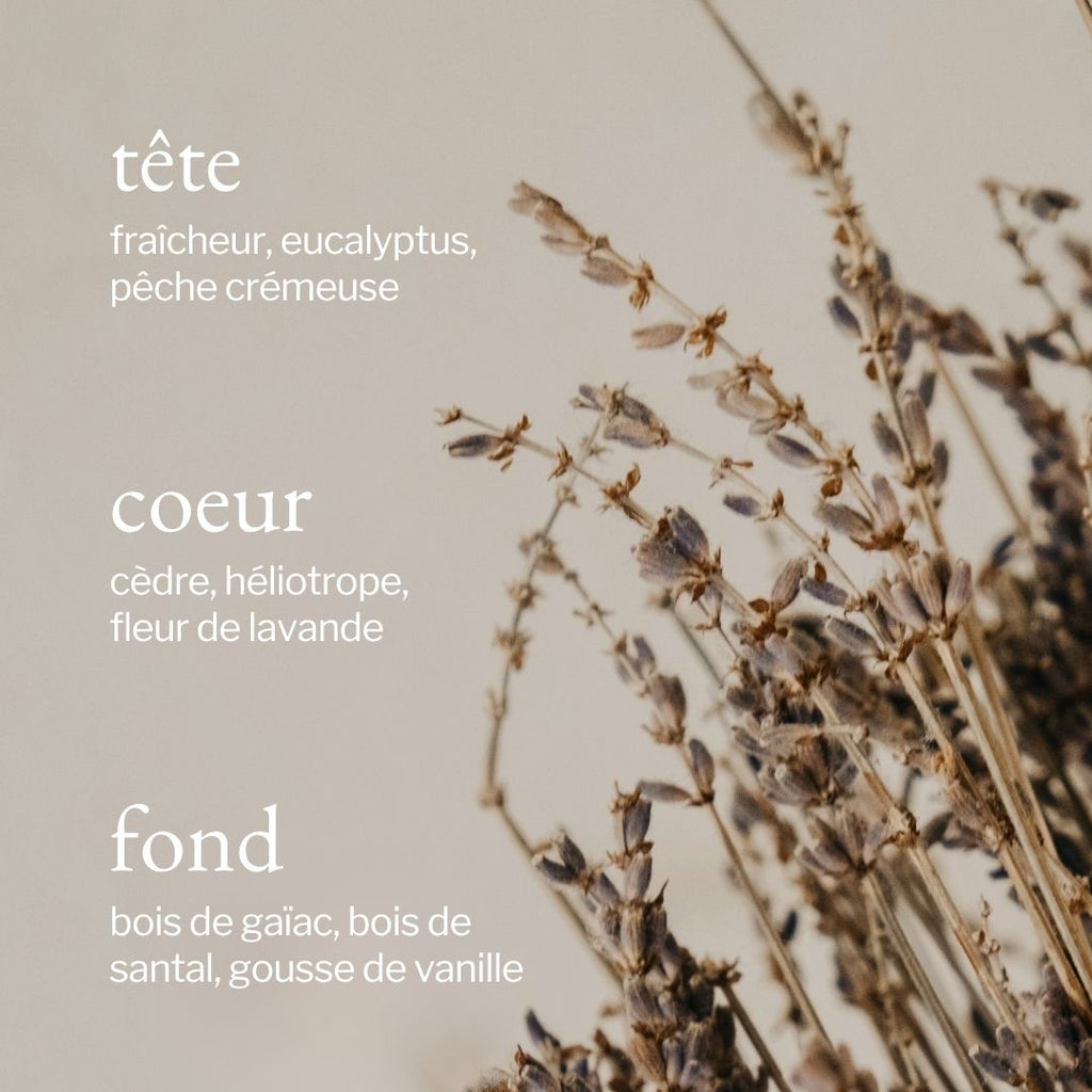 Diffuseur à roseaux | Lavande, Bois de santal & Vanille