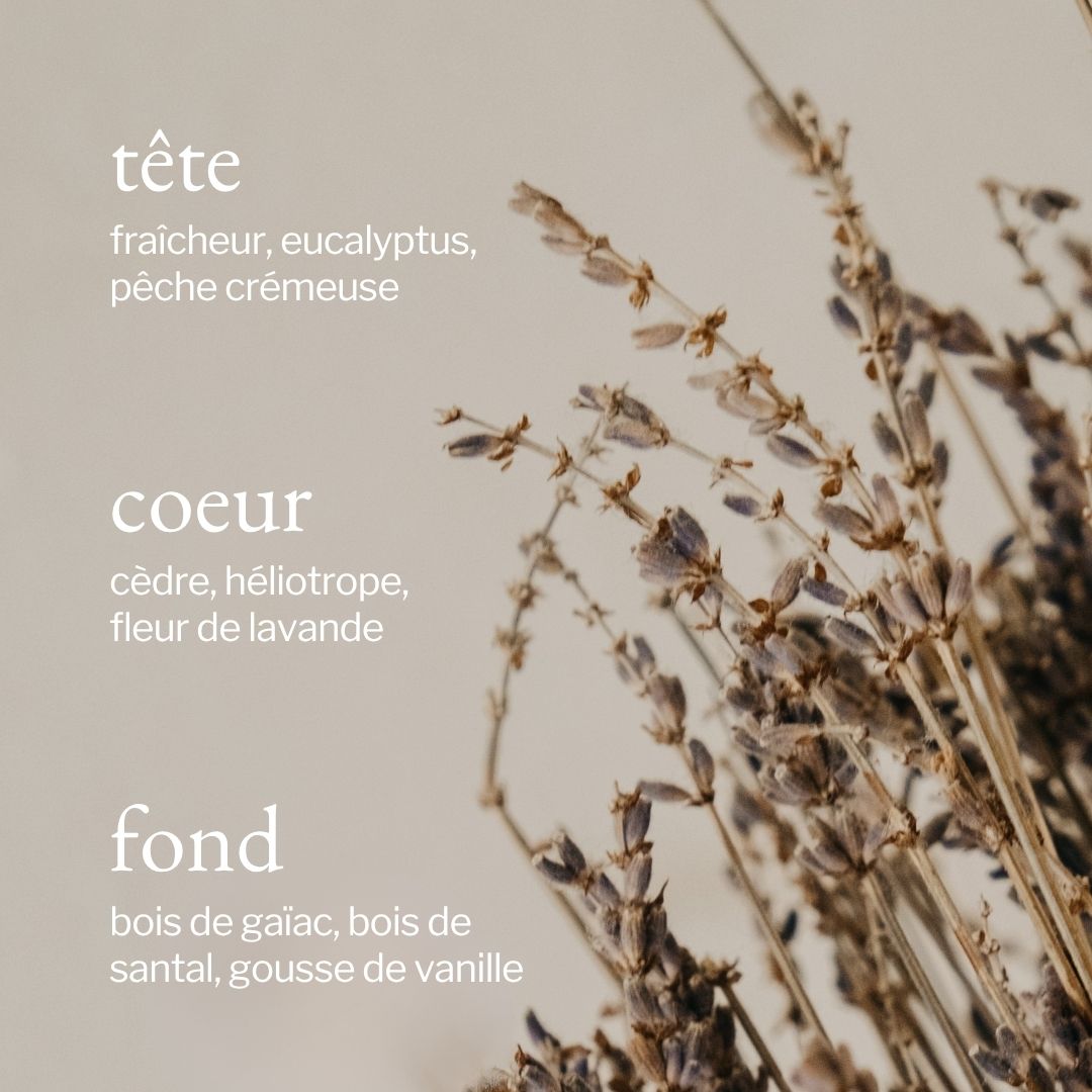 Diffuseur à roseaux | Lavande, Bois de santal & Vanille