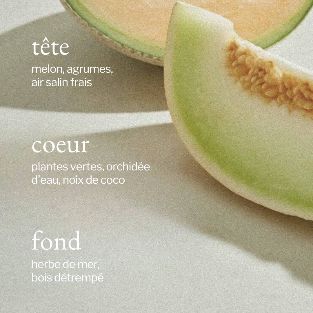 Savon à mains liquide 500 ml | Melon + Air salin