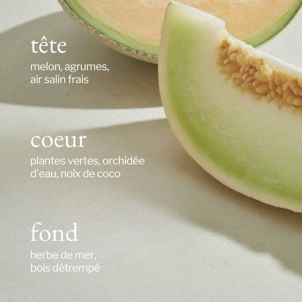 Diffuseur portatif | Melon + Air salin
