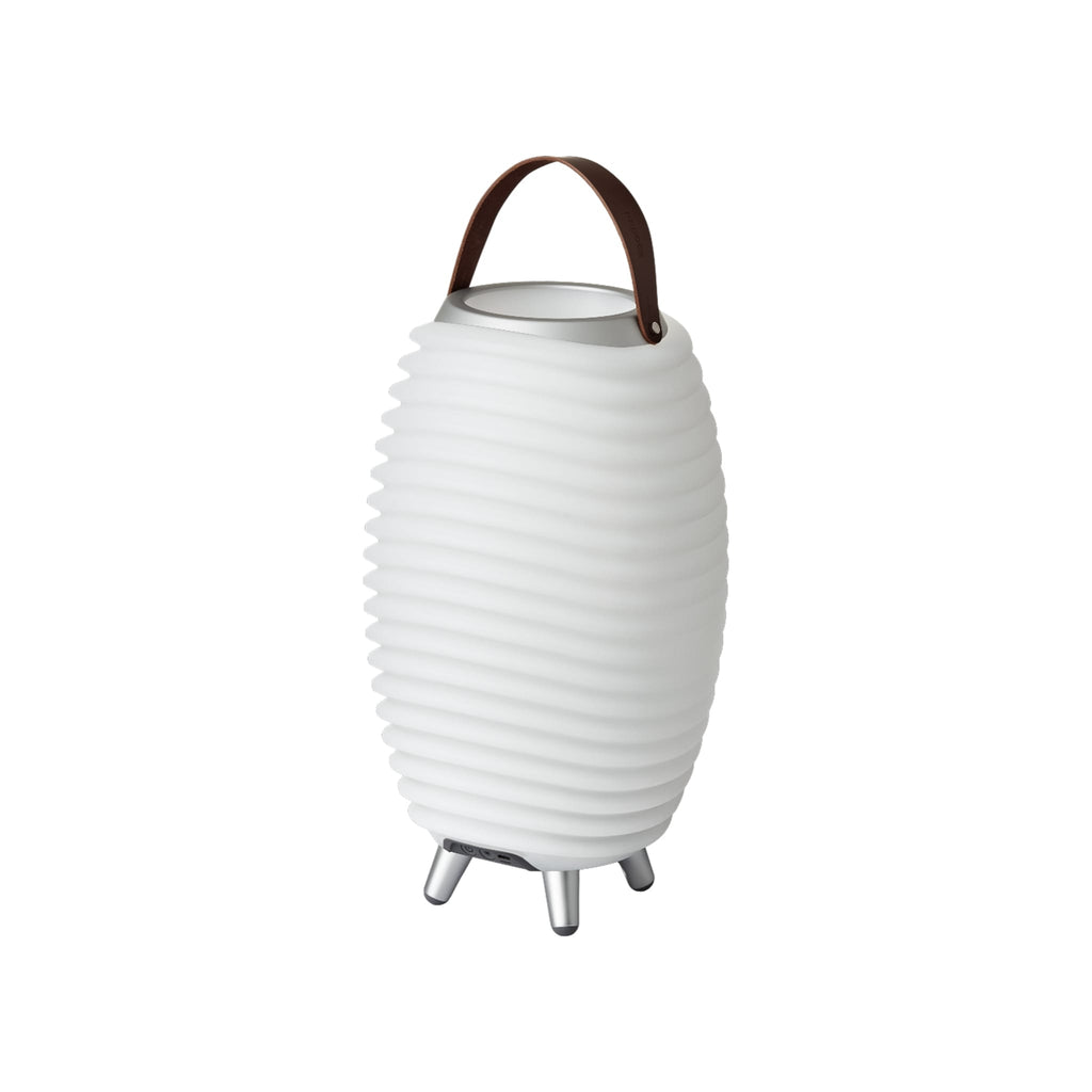 Synergy Speaker, Lamp & Wine Cooler