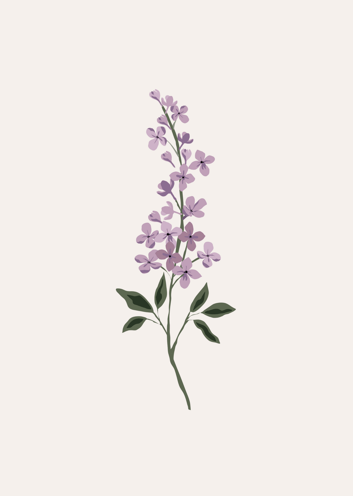 Lilac Flower Art Print