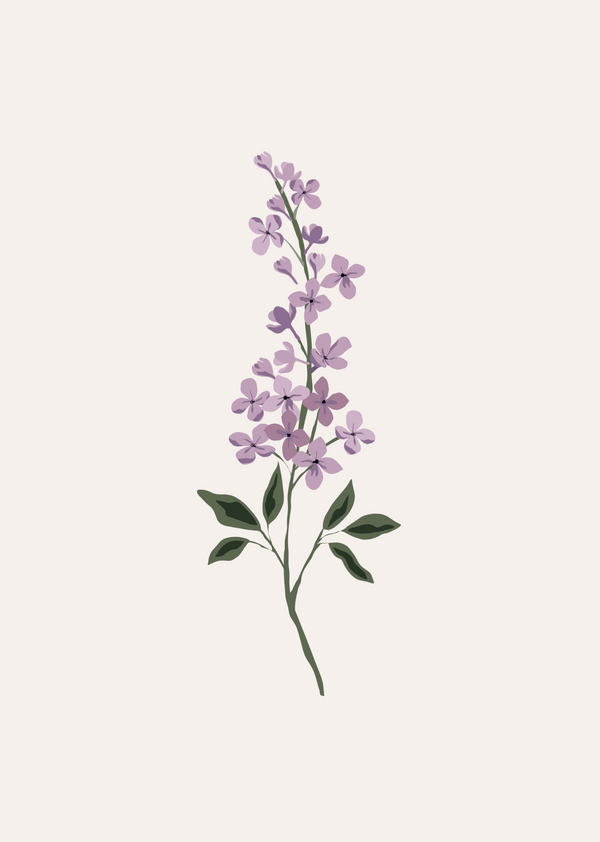 Lilac Flower Art Print