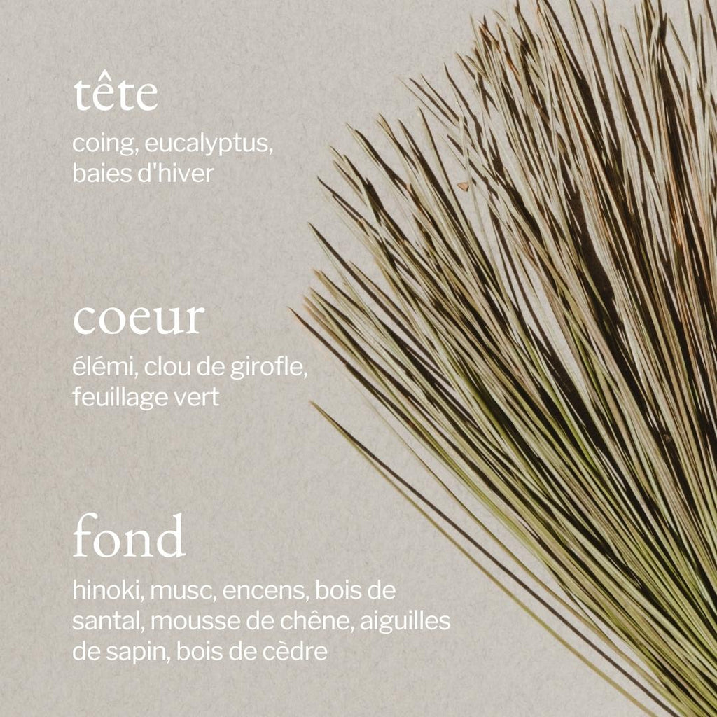 Bruine d'ambiance | Écorce de pin + Cèdre