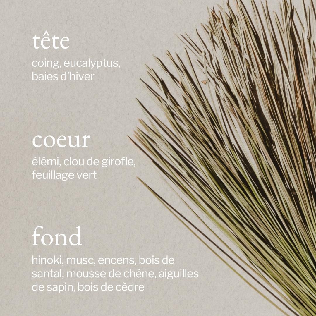 Diffuseur portatif | Écorce de pin + Cèdre